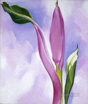 モダンな装飾の花 Painting - ピンクの観賞用バナナ ジョージア オキーフの花飾り